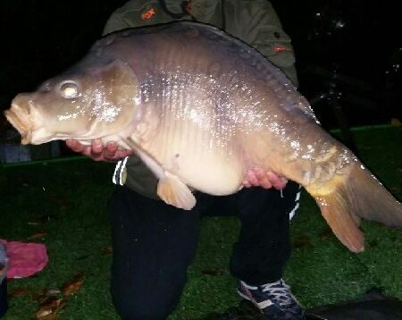 17 kg carp caught at night