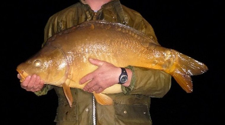 18.2 kg mirror carp caught at night