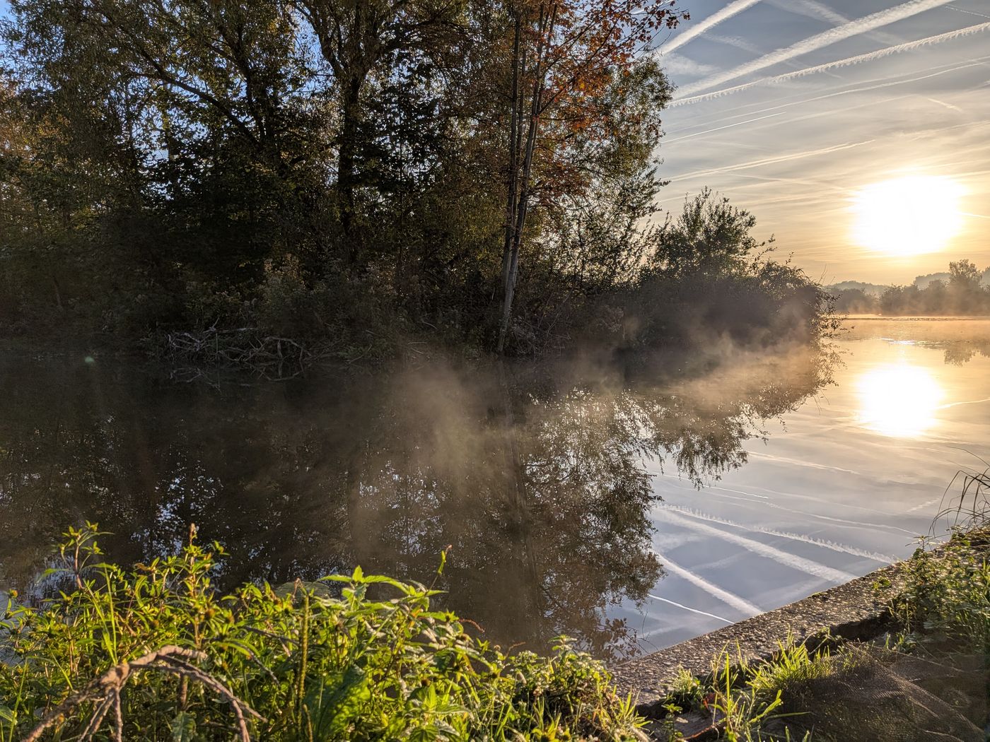 Morning mist over the pond