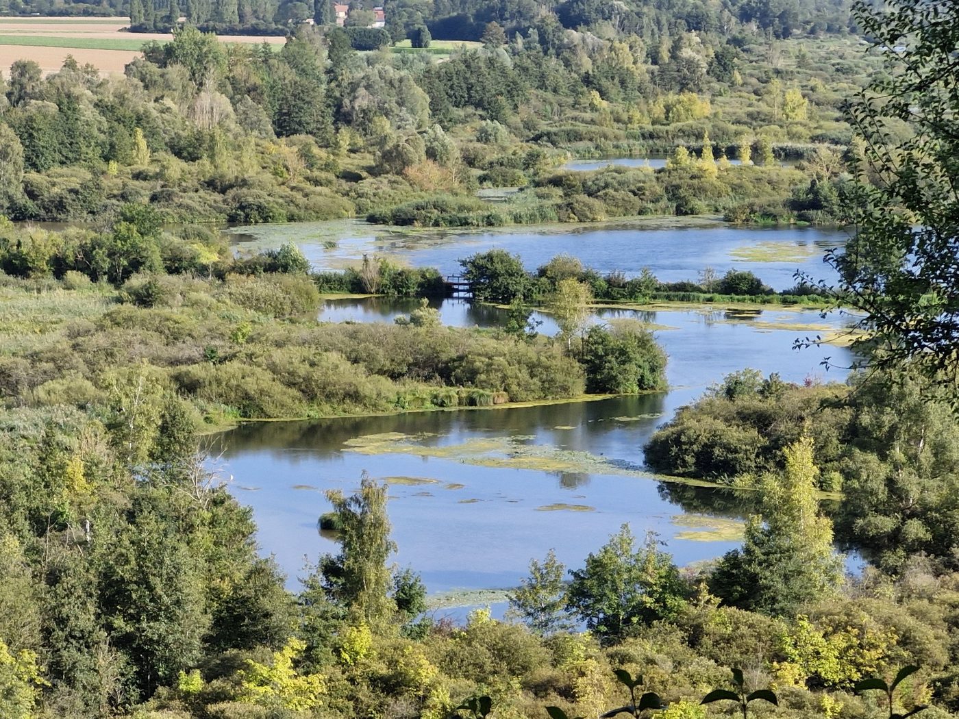 Les marais de la Haute Somme vus du belvédère de Frise