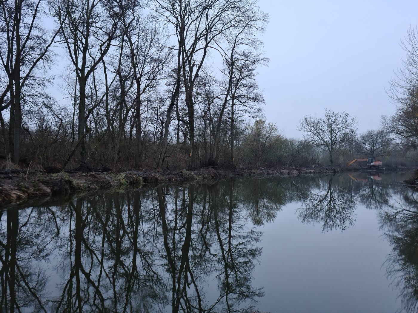 Rivierarm in de winter, weerspiegelde bomen