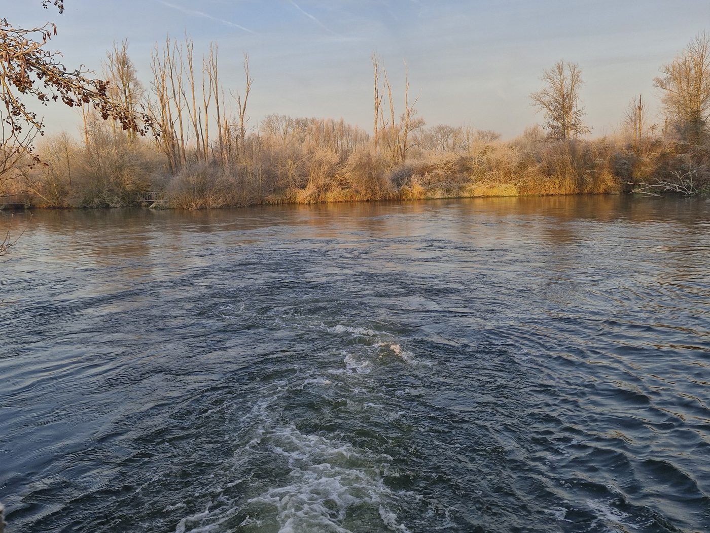 De rivier en haar berijpte oevers in de winter