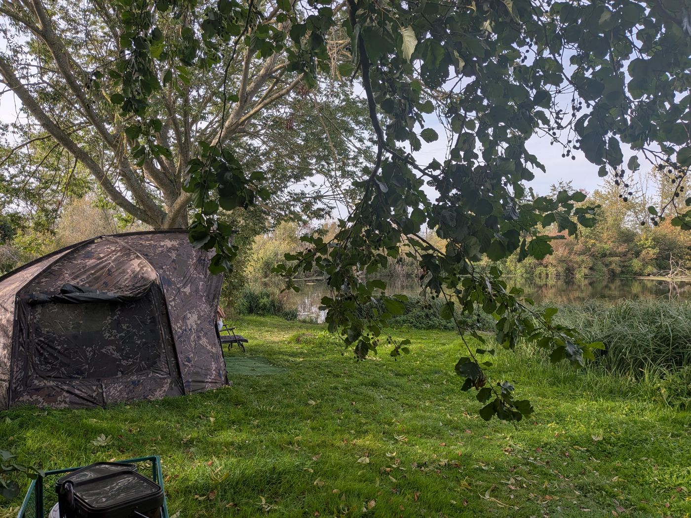 Carp fishing bivvy set up under a tree by the pond