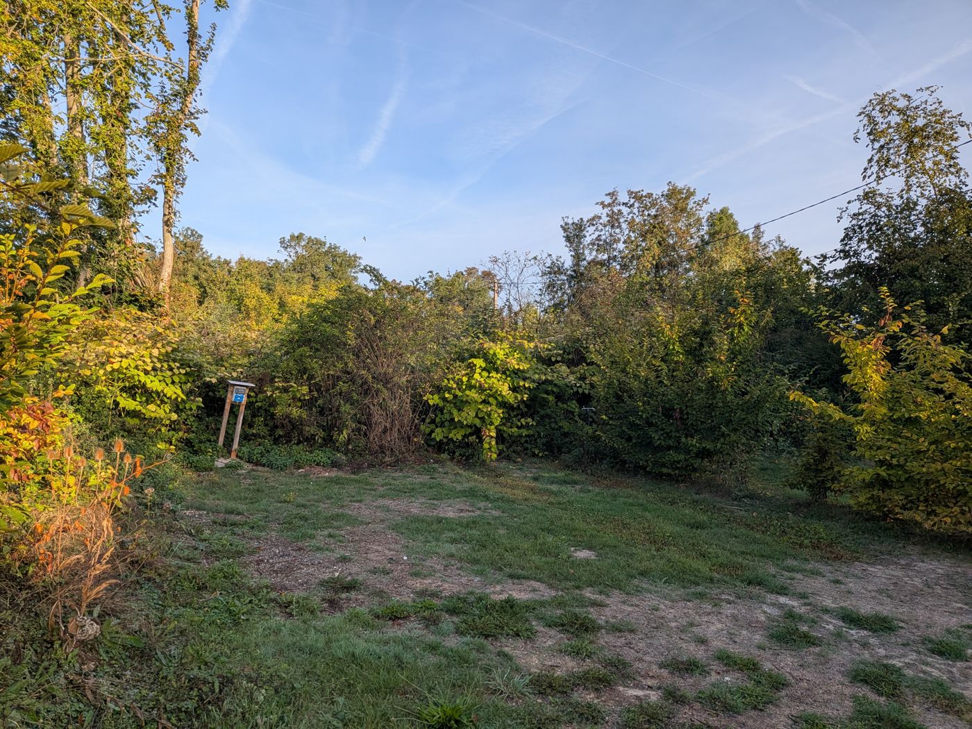 Free pitch surrounded by hedges