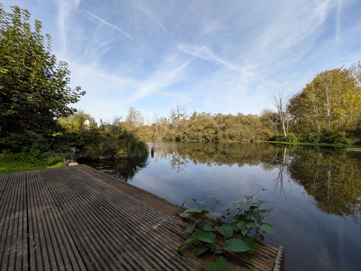 Private jetty of a mobile home on the pond