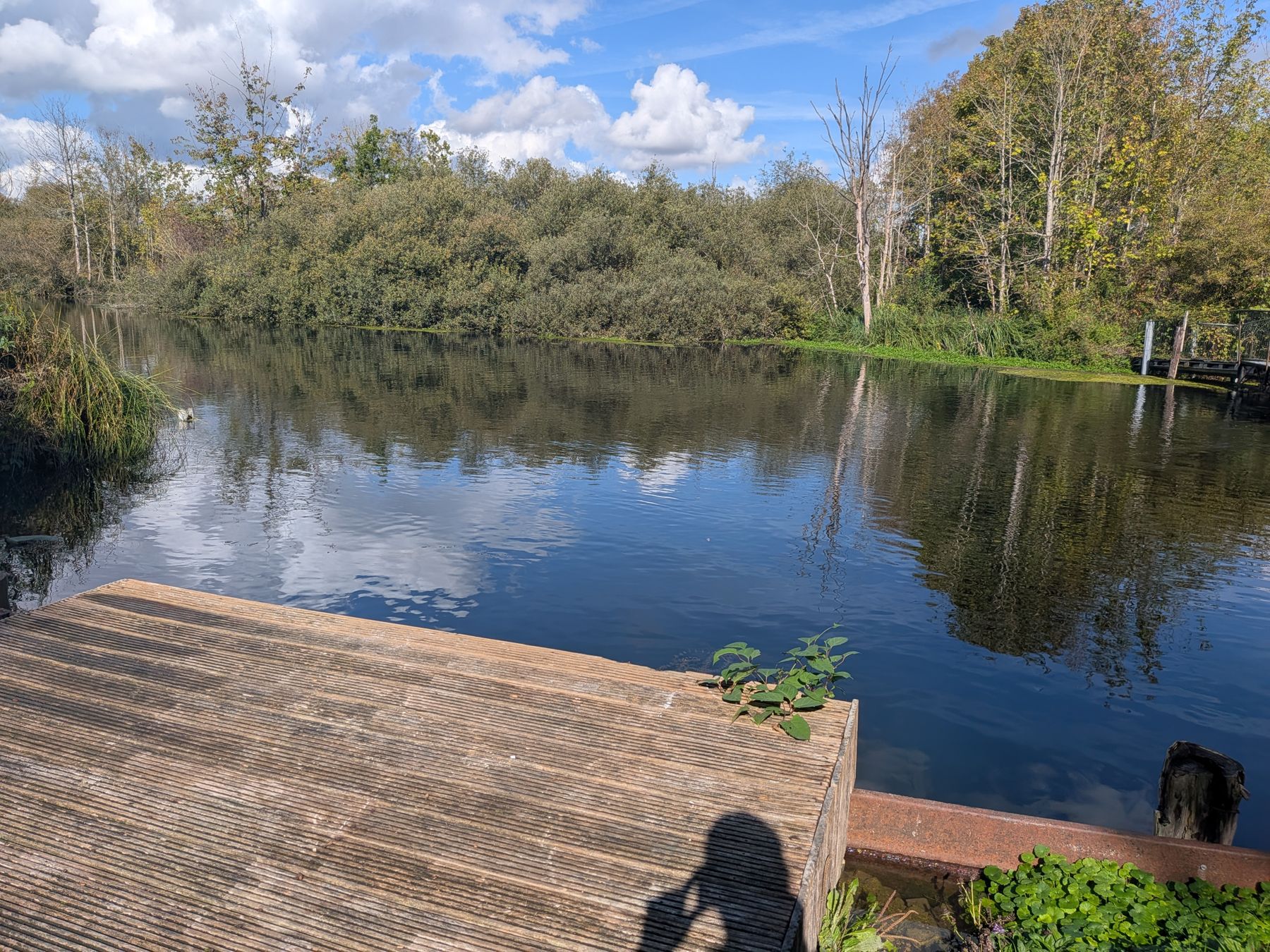 Fishing platform at the edge of the pond